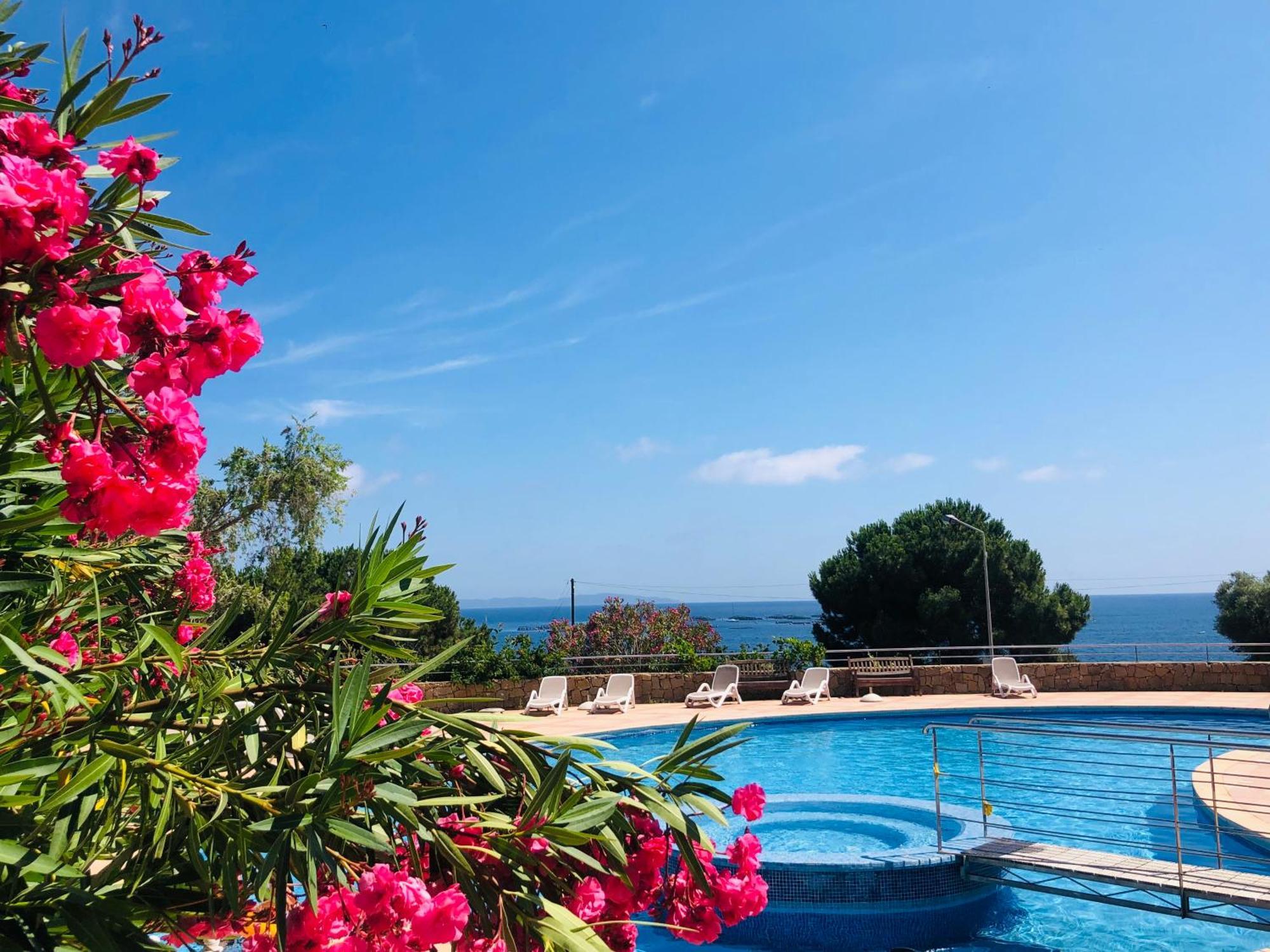 Evasion Corse - T2 Vue Mer, Piscine & Plage Ajaccio  Bagian luar foto